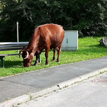Ferienwohnung Haerzlich